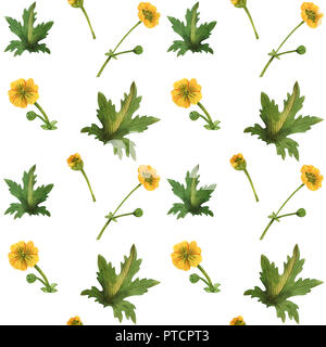 Gelbe Butterblume nahtlose Muster. Aquarell auf einem weißen Hintergrund, Pfad enthalten Stockfoto