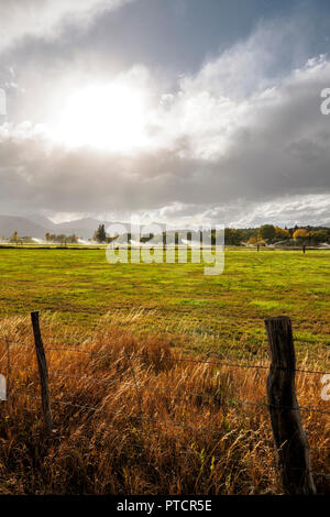 Bewässerungsanlagen sprühen Wasser auf Feldern in der Nähe von Salida, Colorado, USA Stockfoto