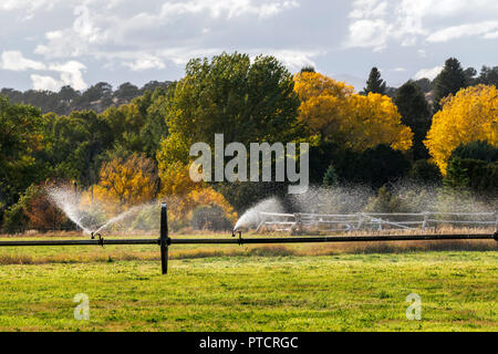 Bewässerungsanlagen sprühen Wasser auf Feldern in der Nähe von Salida, Colorado, USA Stockfoto