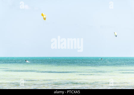 Key West, USA - Mai 1, 2018: Zwei Männer Surfen, Kitesurfen mit Kite auf dem Tragflügelboot in Florida an das Meer, auf das Meer in der Nähe von Strand, Küste, Küste, in Dista Stockfoto