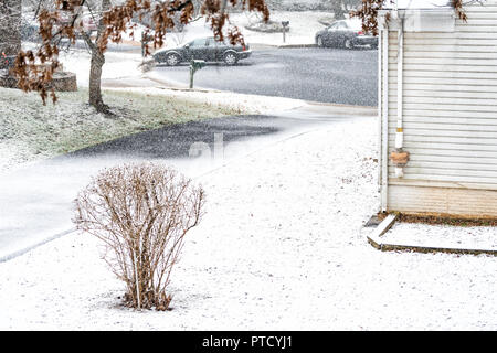Aussicht vom Fenster auf Schneesturm, Sturm, Schneefall Wetter mit Eiche Baum im Schnee in Hinterhof abgedeckt, Vorplatz mit Häusern, Straßen, Wohn Stockfoto