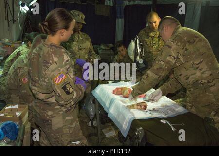 Maj. David Miedema, MD, einem Flug Chirurg, beauftragt Combat medic Spezialisten aus der Zentrale Support Company, 277th Aviation Support Battalion, die auf einer angemessenen Naht Techniken bei Novo Selo, Bulgarien, die am 7. Juli. Die Fähigkeit, Wunden zu Naht ist ein Critical Skill Soldaten auf dem Schlachtfeld, so einige Zeit beiseite während der Übung Sabre Guardian 17 eingestellt wurde am Schweineohren zu üben. Stockfoto