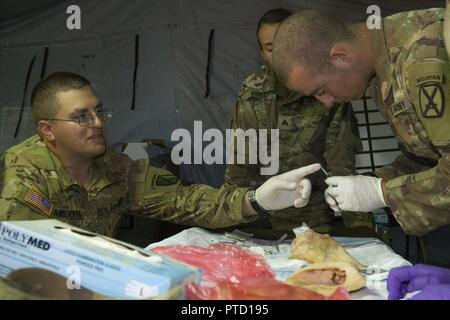 Maj. David Miedema, MD, einem Flug Chirurg, beauftragt eine Combat medic Specialist aus der Zentrale Support Company, 277th Aviation Support Battalion, die auf einer angemessenen Naht Techniken bei Novo Selo, Bulgarien, die am 7. Juli. Die Fähigkeit der Combat medics richtig Wunden Naht kann der Flug Chirurg auf mehr desto kritischer im Notfall Verwundeten zu konzentrieren. Stockfoto