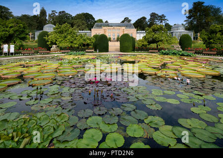 Seerosenteich, maurischen Villa, zoologische und botanische Garten Wilhelma, Stuttgart, Baden-Württemberg, Deutschland Stockfoto