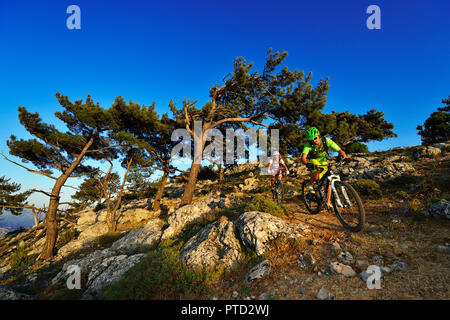 Zwei Mountainbiker auf einer felsigen, gebirgigen Weg durch Pinien, in der Nähe von Selakano, Mirtos, Kreta, Griechenland Stockfoto