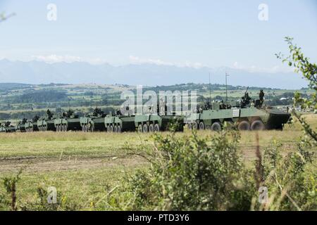 Soldaten der kroatischen Streitkräften Antrieb gepanzerte Fahrzeuge während der getica Sabre 17. Am 10. Juli 2017 in Cincu, Rumänien. Getica Sabre 17 ist eine von den USA geführte Fire Support Koordination und kombinierte Waffen live fire Übung umfasst sechs Verbündete und Partner Nationen mit mehr als 4.000 Soldaten. Getica Sabre 17 läuft gleichzeitig mit Säbel Guardian 17, ein US Army Europe-led, multinationale Übung, erstreckt sich über Bulgarien, Rumänien und Ungarn mit über 25.000 service Mitglieder aus 22 NATO-Mitglieder und der Partnerstaaten. Stockfoto