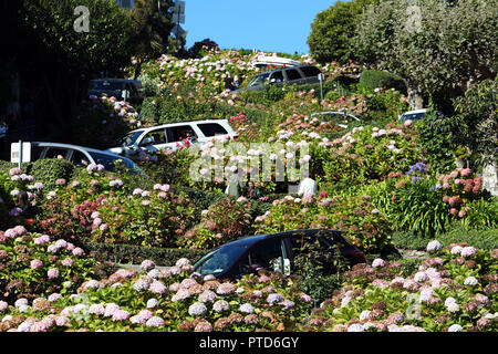 Lombard Street, die krummste Straße in San Francisco, Kalifornien, USA Stockfoto