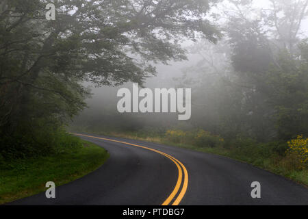 Eine schmale Straße, die sich durch einen Wald von Nebel, die gefährlich Sichtbarkeit reduziert für Reisende socked ist Stockfoto