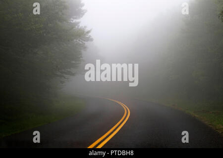 Eine schmale Straße, die sich durch einen Wald von Nebel, die gefährlich Sichtbarkeit reduziert für Reisende socked ist Stockfoto