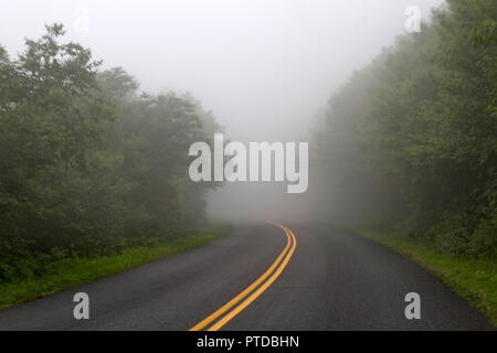 Eine schmale Straße, die sich durch einen Wald von Nebel, die gefährlich Sichtbarkeit reduziert für Reisende socked ist Stockfoto