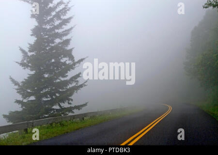 Eine schmale, windig, hohen Berg Straße, durch Nebel Wind durch einen Wald durch eine gefährliche, unsichtbare Drop off begrenzt versinkt Stockfoto