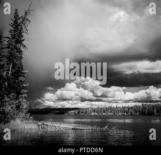 Ein Black'n white Szene von squall bewegt sich auf einem See mit Bäumen im Vordergrund und flauschige weiße Wolken in der Ferne. Stockfoto