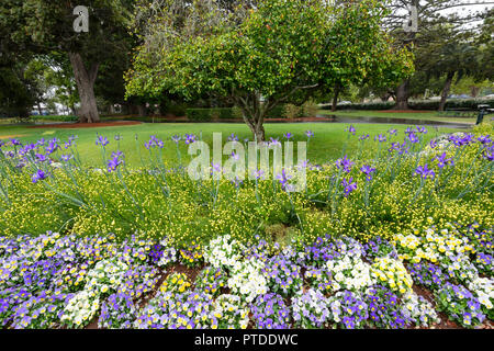 Karneval der Blumen an denkmalgeschützten Queen's Park Botanischer Garten, Toowoomba, südlichen Queensland, Queensland, Australien Stockfoto