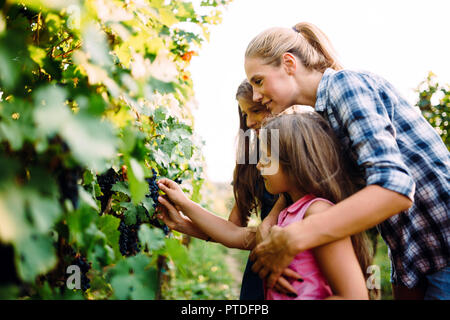 Glücklich Winzer Familie Wandern im Weinberg Stockfoto