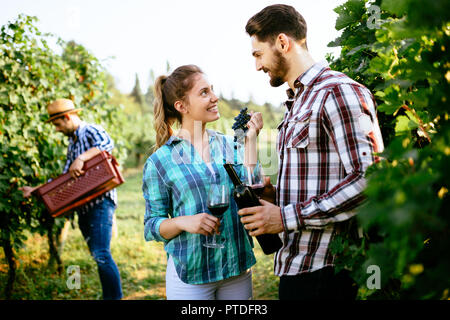 Wein Touristen Weinproben im Weinberg und im Gespräch Stockfoto