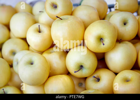 Stapel der gelbe Äpfel auf dem Markt in Almaty, Kasachstan Stockfoto