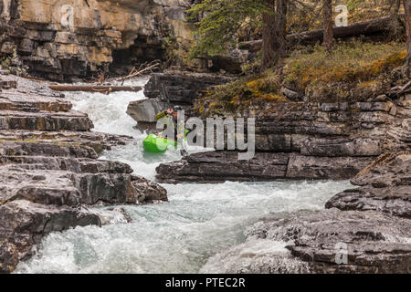 Kayaker verhandeln Stromschnellen auf Beauty Creek im Jasper National Park, Kanada. Stockfoto