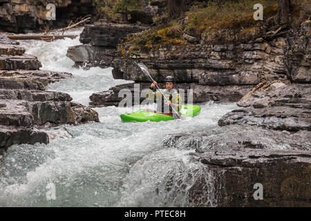 Kayaker verhandeln Stromschnellen auf Beauty Creek im Jasper National Park, Kanada. Stockfoto