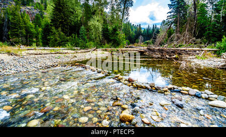 Aufgrund der niedrigen Wasserstände Anfang September die Coldwater River Lachs Lebensraum von Fischen in der Nähe von Brookmere in BC, Kanada geschützt ist Stockfoto