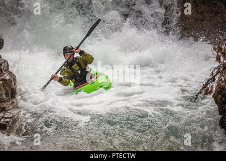 Kayaker verhandeln Stromschnellen auf Beauty Creek im Jasper National Park, Kanada. Stockfoto