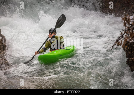 Kayaker verhandeln Stromschnellen auf Beauty Creek im Jasper National Park, Kanada. Stockfoto