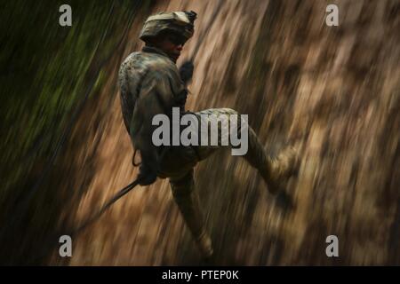 Staff Sgt. Trevor R. Moree, Summerville, South Carolina native und platoon Sergeant der Alpha Company, 1.BATAILLON, 3. Marine Regiment, rappels auf einer Klippe an der Jungle Warfare Training Center an Bord Camp Gonsalves, Okinawa, Japan, 12. Juli 2017. Die Jungle Warfare Training Center bietet individuelle und Steuereinheit level training Überlebensfähigkeit und Letalität bei einem Dschungel Umgebung erhöhen. Die Hawaii-basierte Bataillon freut sich auf Okinawa, Japan als Teil der Einheit Deployment Program eingesetzt. Stockfoto