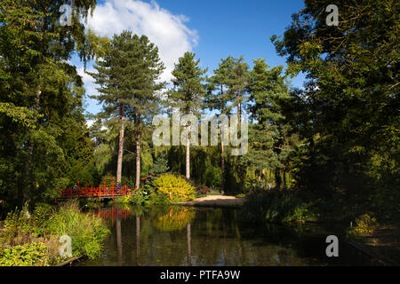 England, Berkshire, Lower Basildon, Beale Park Wildlife Park und Gärten, Japanisches Jubiläum Wasser Garten mit roten Brücke über den Pool themed Stockfoto