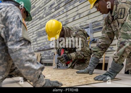 New York Army National Guard SPC. Kyei, mit der 1156Th Engineer Company, 204 Engineer Battalion, schnitten Bauholz für eine von zwei Schuppen Bauvorhaben während der jährlichen Schulung der Einheit in Fort Drum, N.Y., 19. Juli 2017. Die Schuppen sind einer von vier Bauvorhaben das Bataillon während seiner Zeit in Fort Drum lief, so dass die Soldaten ihre Fähigkeiten zu verbessern, während die Schaffung dauerhafter Bauprojekte für die Post. (U. S. Army National Guard Stockfoto