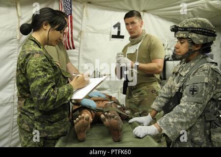 Maj. Otilia Capellan (rechts), Notaufnahme Arzt und Kompaniechef für Alpha Co., 345 Combat Support Hospital, zusammen mit der kanadischen Offizier Kapitän Jenny Vuong (links), Notaufnahme Krankenschwester aus der 28 Feld Sanitaetseinheit in Kanada, in der Praxis er Verfahren auf einer Übungspuppe mit der Bewertung der Vitalparameter des Patienten. Spc. Timothy Gebühr (Mitte) ein Arzt mit der 319 Minimale Pflege Loslösung Hilfe sowohl Capellan und Vuong, sowohl in der globalen Medic Combat Support Training (CSTX) am Fort Hunter Liggett, Calif. Global Medic beteiligt sich stellt ist eine situative Szenario-basierten s Stockfoto