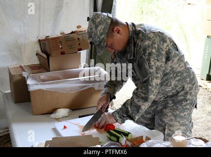 U.S. Army Reserve SPC. Joseph Perez, eine kulinarische Fachmann mit der 288Th Quartermaster Unternehmen, schneidet Tomaten während der zwei Wochen 2017 Quartermaster Flüssiglogistik Übung in Joint Base Lewis McChord, Jan. 14 bis 27, 2017. QLLEX ermöglicht die US Army Reserve Einheiten, um ihr Können unter Beweis zu stellen und der realen Welt Kraftstoff und Wasser unterstützt, während der Ausbildung an der taktischen, operativen und strategischen Ebene. Stockfoto