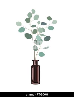 Eukalyptus Niederlassungen in einer dunklen Flasche Vase auf dem weißen Hintergrund. Dekoration Design Element. Vector Illustration Stock Vektor