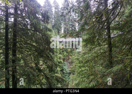 VANCOUVER, Kanada - 11. SEPTEMBER 2018: Besucher die 450 ft Capilano Suspension Bridge in Vancouver Stockfoto