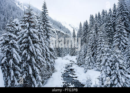 Winterlandschaft mit Schnee bedeckt Bäume und tolle Aussicht Stockfoto