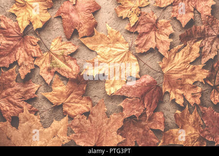 Ahorn im Herbst vertrocknet getrockneten Blätter. Hintergrund mit einem Platz für Text kopieren oder eine Inschrift Stockfoto