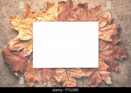 Ahorn im Herbst vertrocknet getrockneten Blätter. Hintergrund, Mock up mit einem Platz für Text kopieren oder Beschriftung Stockfoto