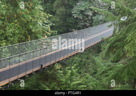 Capilano Suspension Bridge in Vancouver, Kanada Stockfoto