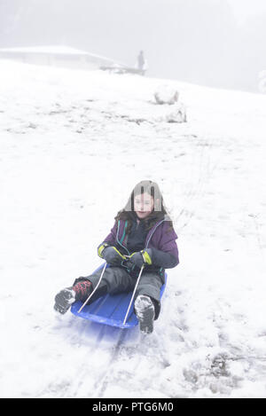 Junge Mädchen Folien einen Hügel hinunter auf eine Rodelbahn an einem nebligen Tag im Schnee Stockfoto