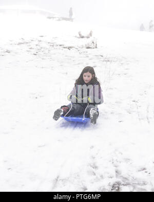 Junge Mädchen Folien einen Hügel hinunter auf eine Rodelbahn an einem nebligen Tag im Schnee Stockfoto