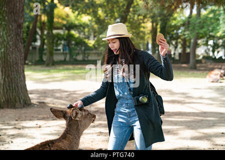 Eine Frau trägt einen Strohhut und Füttern der Hirsche im Park Stockfoto