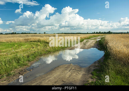 Pfütze auf einer Landstraße durch Felder und weiße Wolken im Himmel Stockfoto