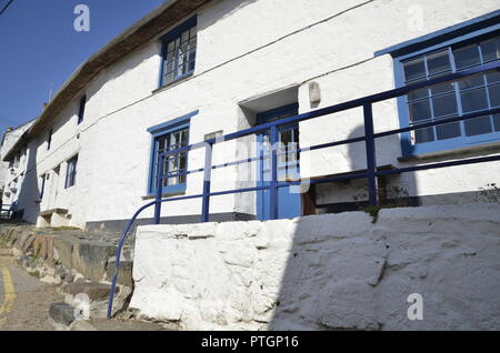 Weiß getünchten Cottages in dem kleinen Dorf Cadgwith Cove Stockfoto