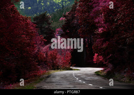 Travel Concept. Mountain Road Landschaft auf der Straße Stockfoto