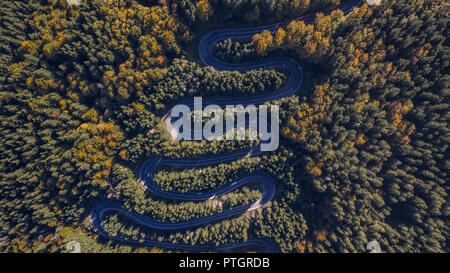 Geschwungene Straße durch den Wald. Pass in Siebenbürgen, Rumänien. Luftaufnahme von einer Drohne. Stockfoto