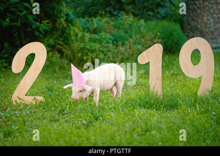 Blick auf rosa Schwein essen Gras, in der Nähe von Holz- Zahlen von 2019 im Garten. Feier des neuen Jahres für traditionelle chinesische Kalender und Horoskop. Süße Schweinchen Symbol des Jahres 2019. Stockfoto