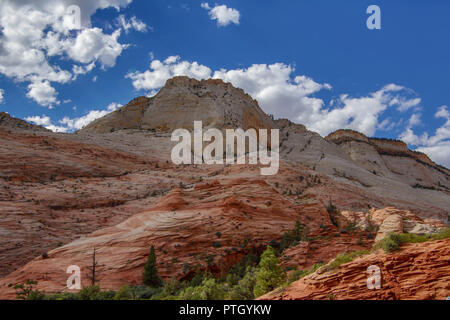 Gestreift rock im Zion National Park Stockfoto