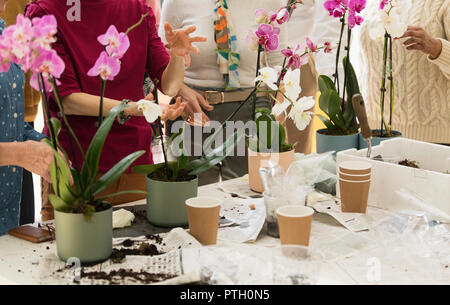 Aktive Senioren genießen blumenarrangierens Klasse Stockfoto