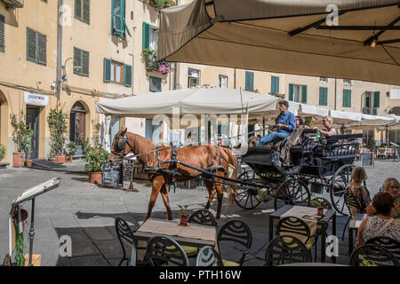 Piazza Amfiteatro in Lucca, Toskana, Italien Stockfoto