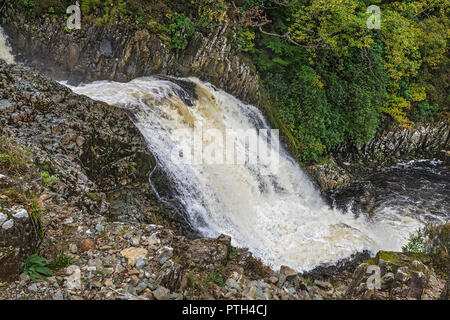 Rhaeadr Mawddach Wasserfall auf thr Afon Mawddach (Fluss) im Coed y Brenin Wald in der Nähe von Dolgellau Snowdonia National Park North Wales UK Oktober 261 Stockfoto