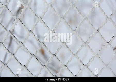 Gefrorene Lattenzaun. Schnee bedeckt. Winter Raureif. Stockfoto