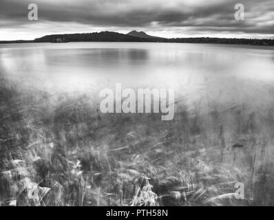 Herbst Blick auf niedrigem Niveau Teich zu Forest Hill auf der gegenüberliegenden Bank. Herbst melancholische Atmosphäre. Lange Belichtung. Schwarz-weiß Foto. Stockfoto